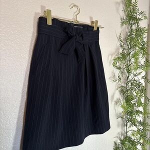 H&M Navy Pinstripe A-Line Skirt